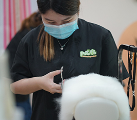 Top 3 Places to Learn Professional Pet Grooming in Singapore