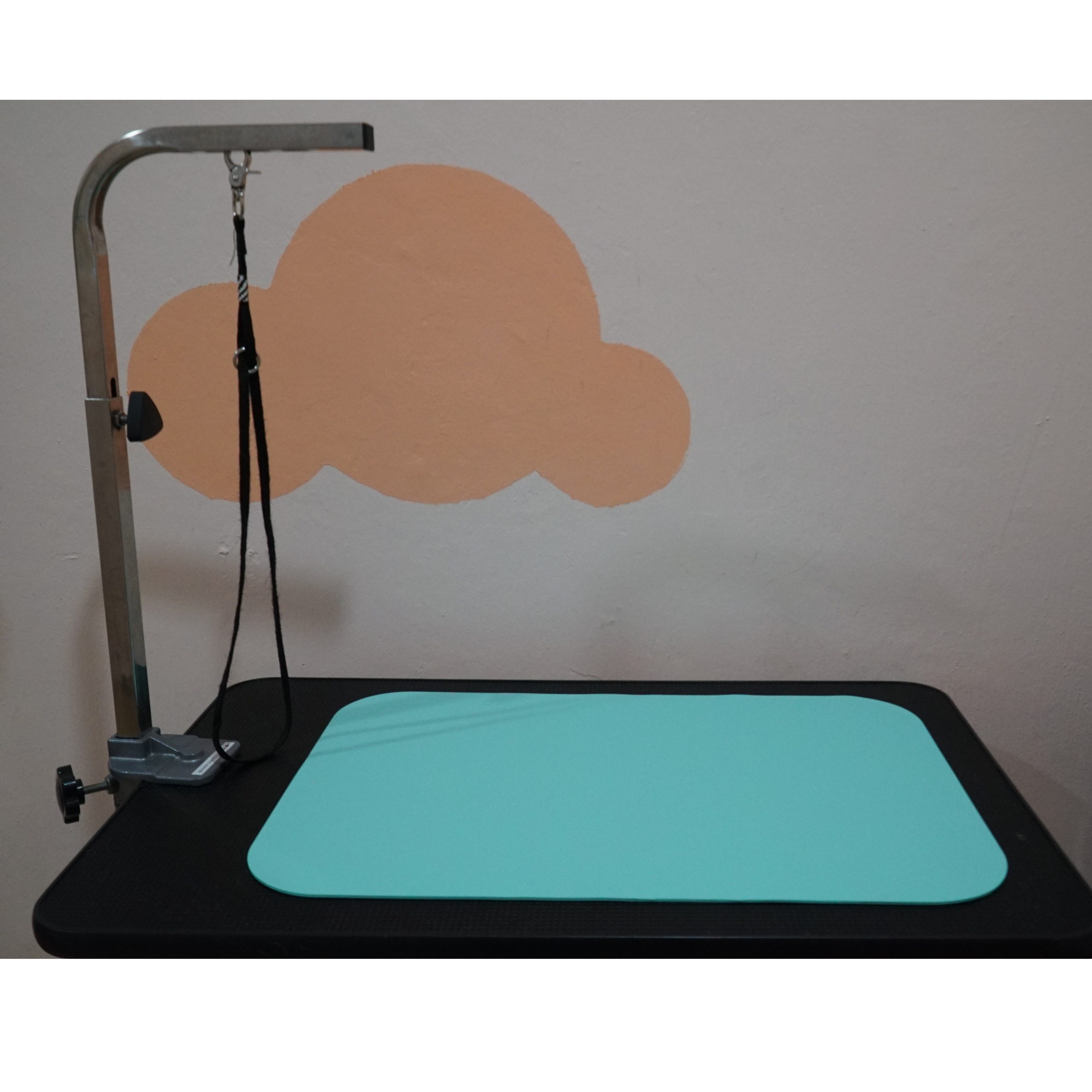 https://pawrus.com.sg/wp-content/uploads/2022/01/Pawrus%C2%AE-Pet-Grooming-Anti-Slip-Mat-on-Table-scaled.jpg