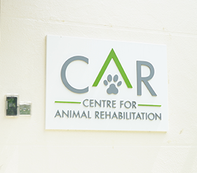 Animal & Veterinary Service Centre for Animal Rehabilitation
