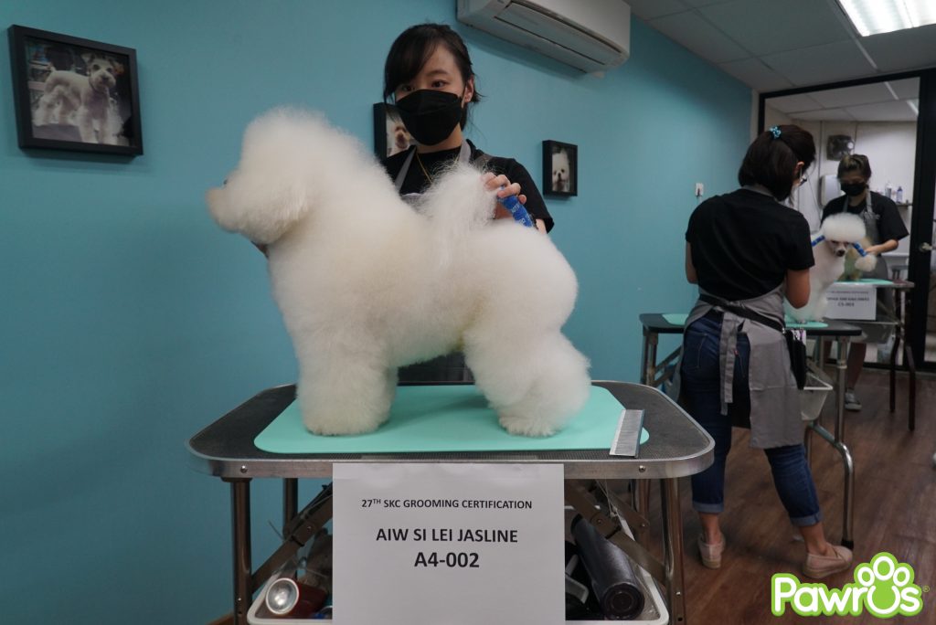 27th Singapore Kennel Club Grooming Examinations Pawrus® Group